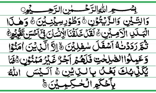 Qora ayollarning kokraklari